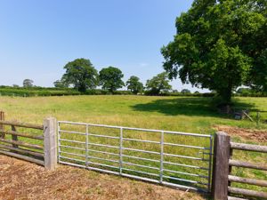 Photo 30- click for photo gallery